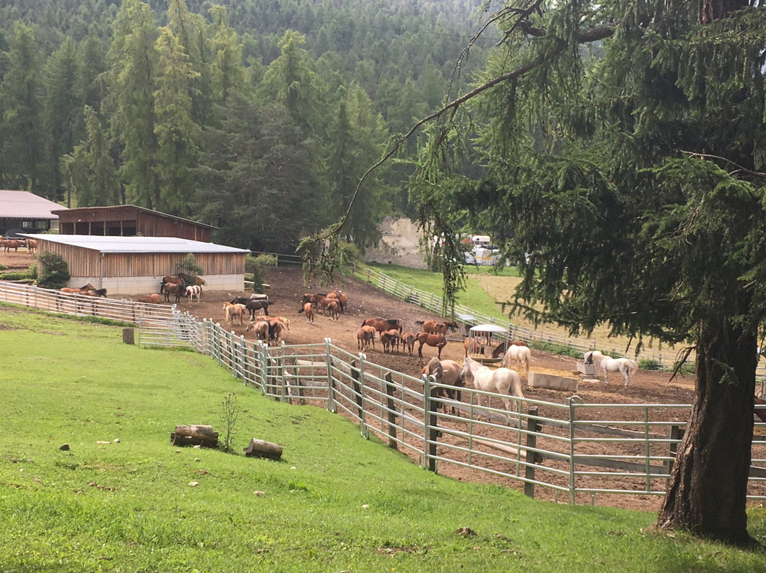 San Jon Reitstall Und Saloon