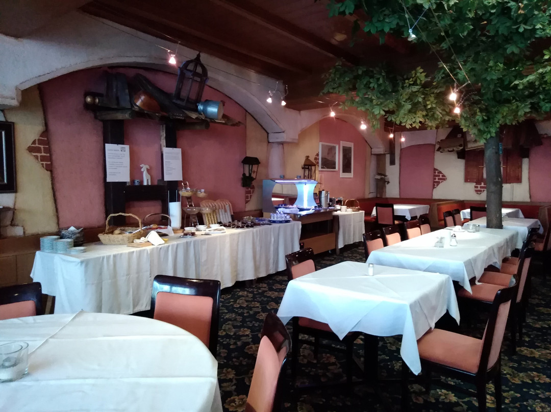 Hotel Wilder Mann主图