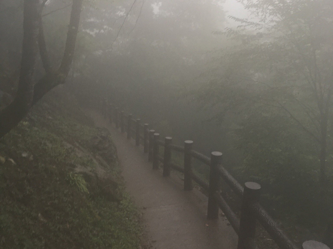 Fujido Cave景点图片