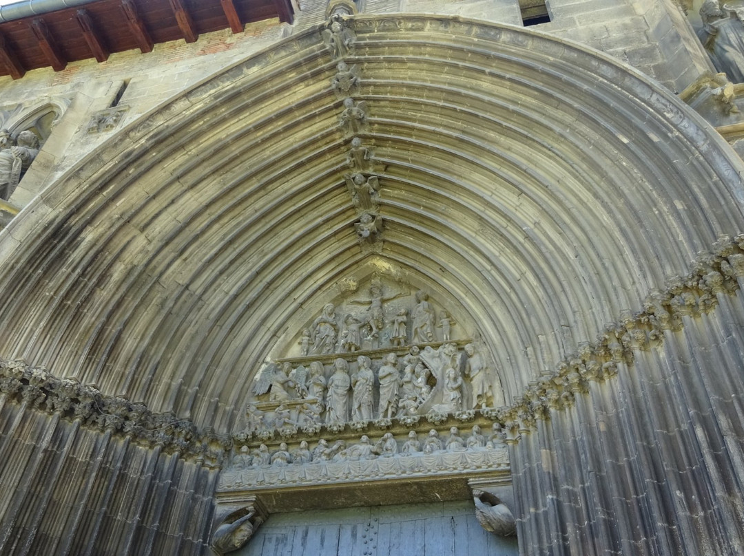 Navark Actividades Guiadas Estella-Estella必去景点