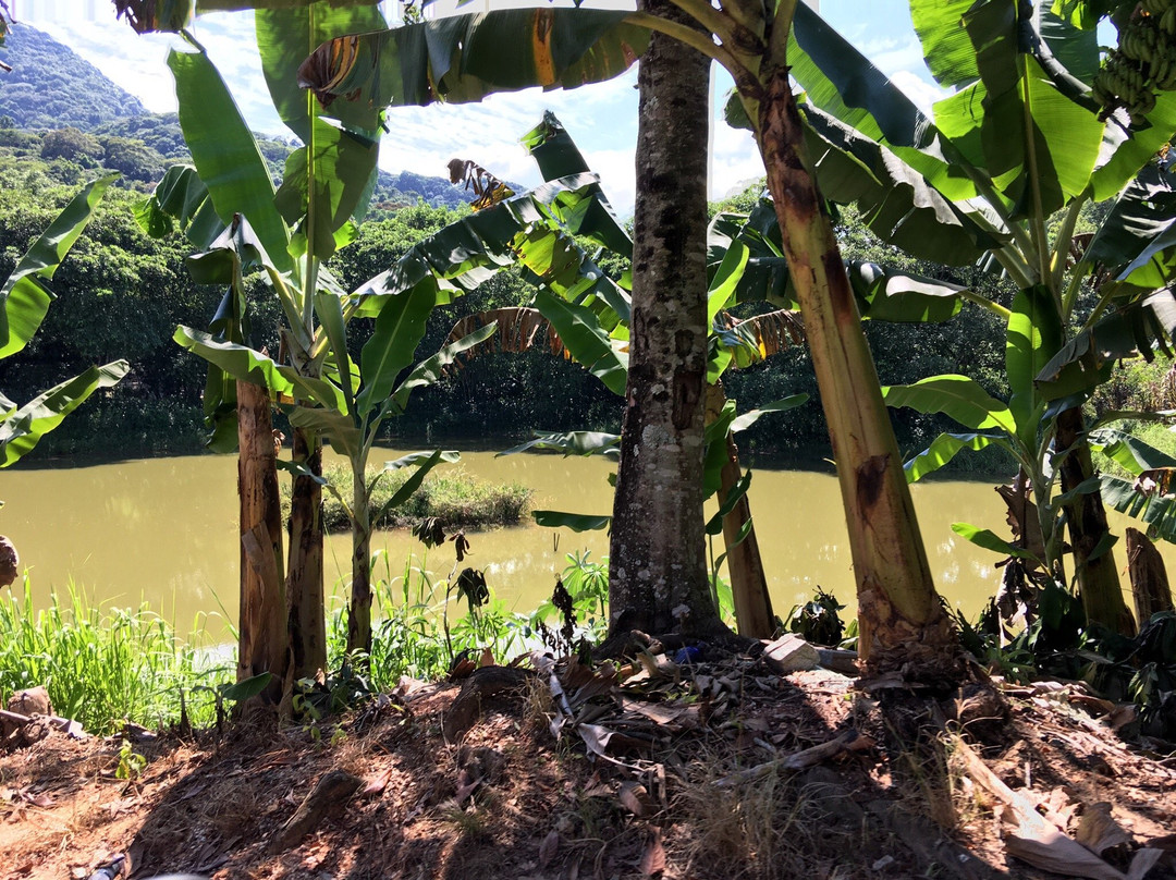 Itariri餐馆和美食-Pesqueiro 3 irmãos