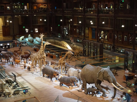 大演化厅-巴黎必去景点