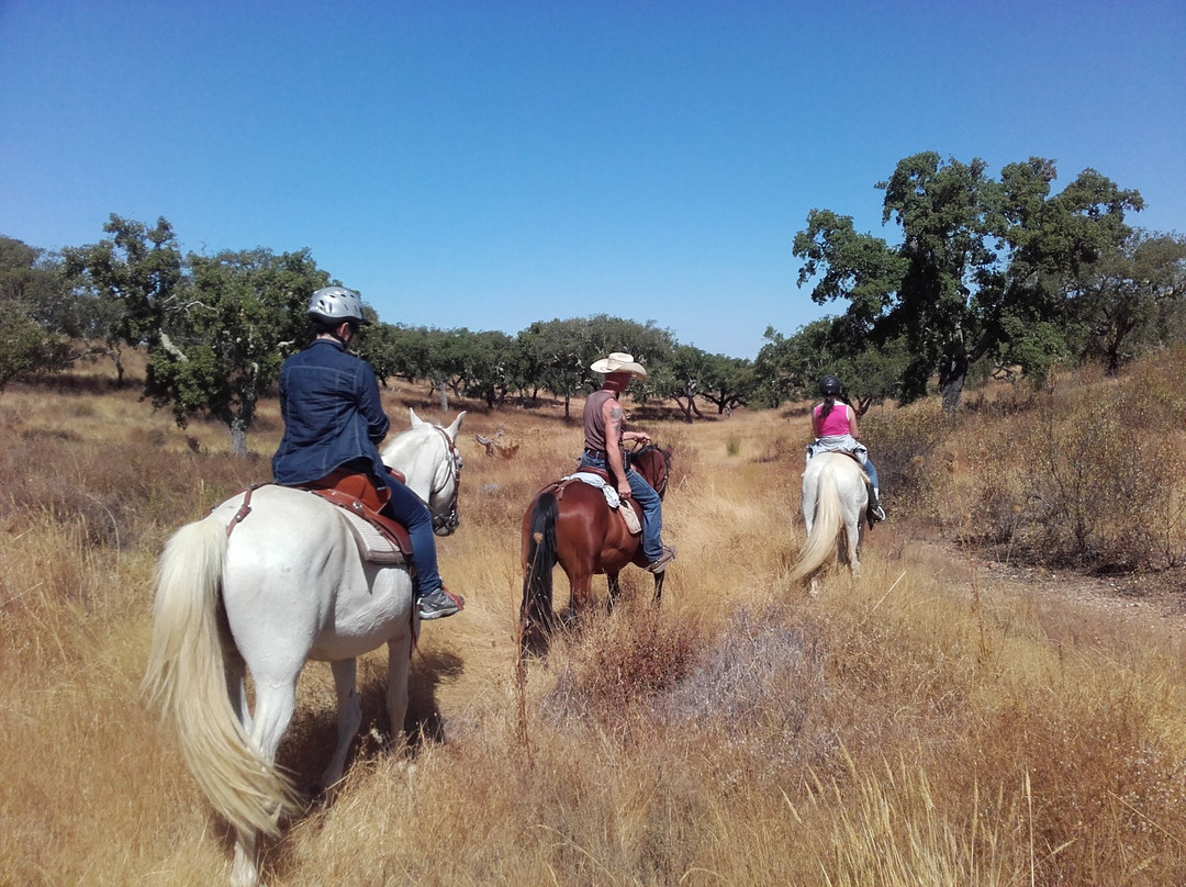 Ranch do Novo Mundo景点图片