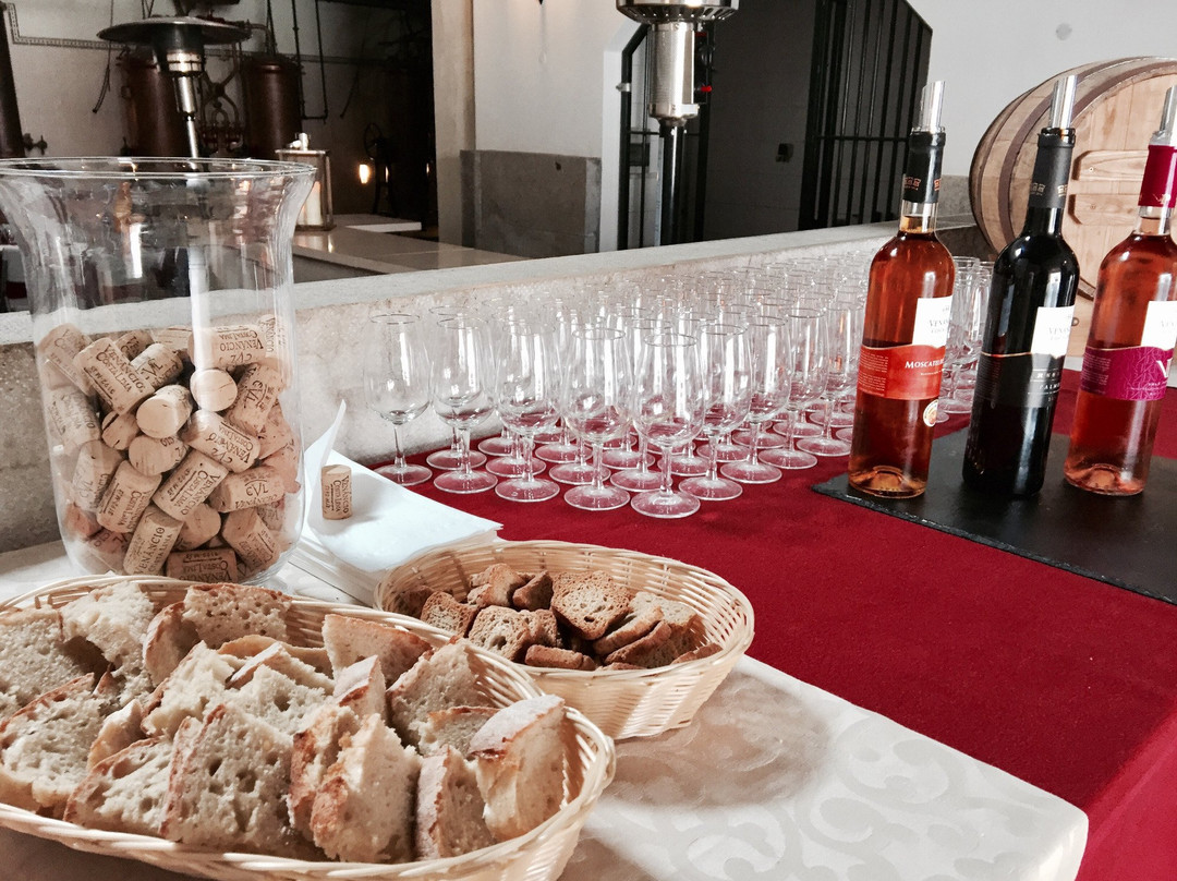 Venancio da Costa Lima-Palmela必去景点