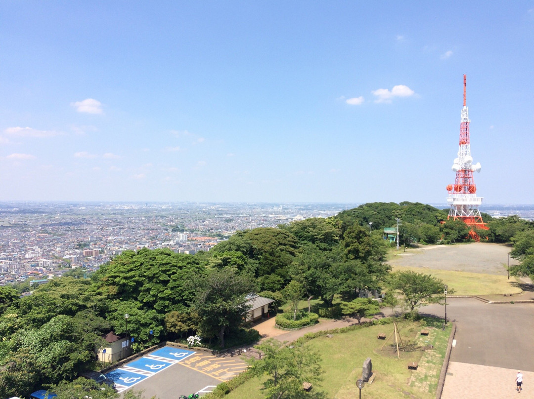 Syonandaira (Komayama Park)