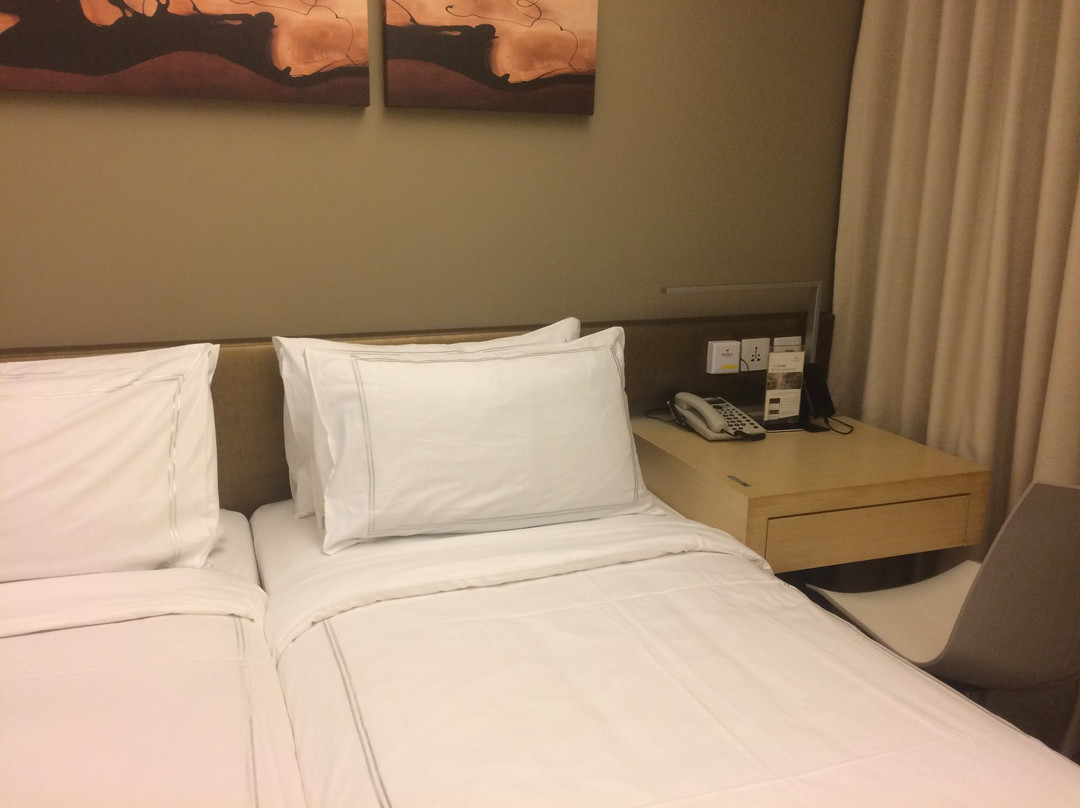 新加坡柏薇罗切斯特酒店主图