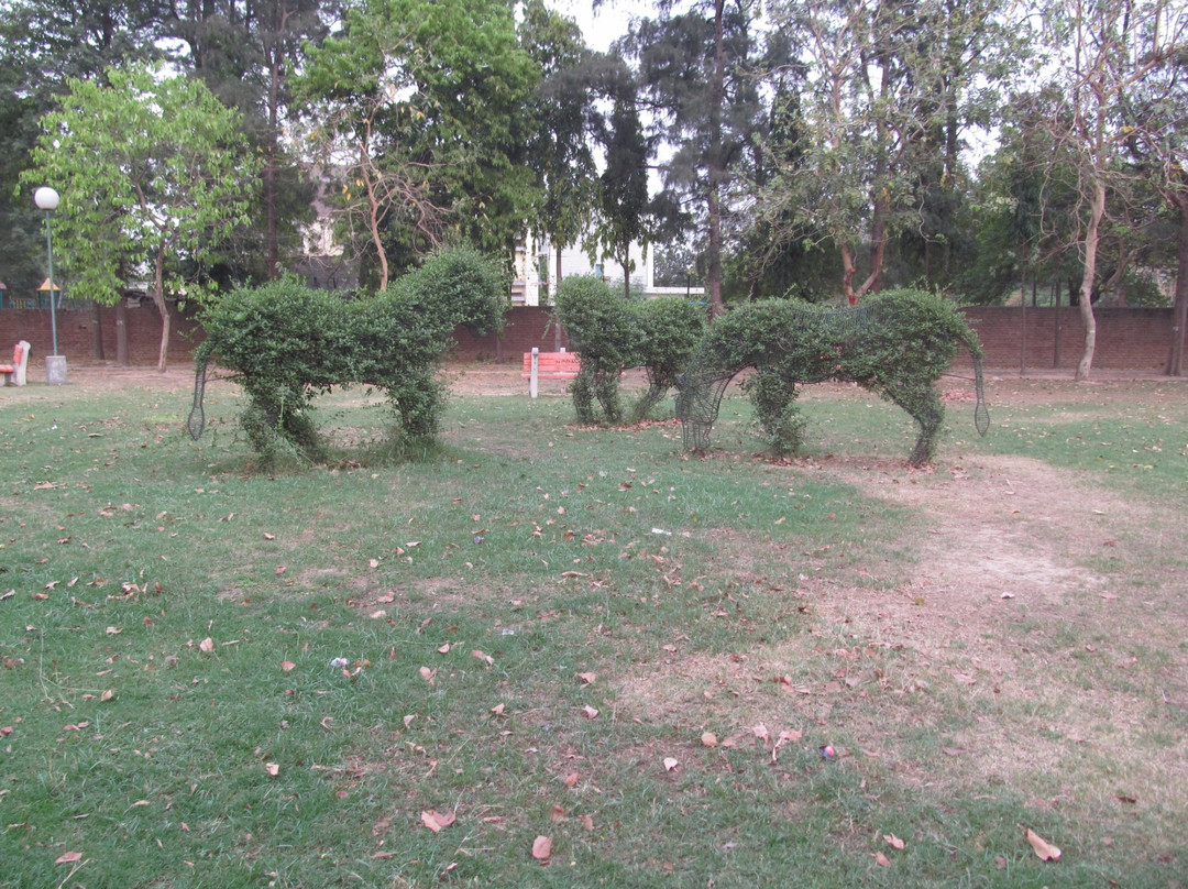 Topiary Park-昌迪加必去景点