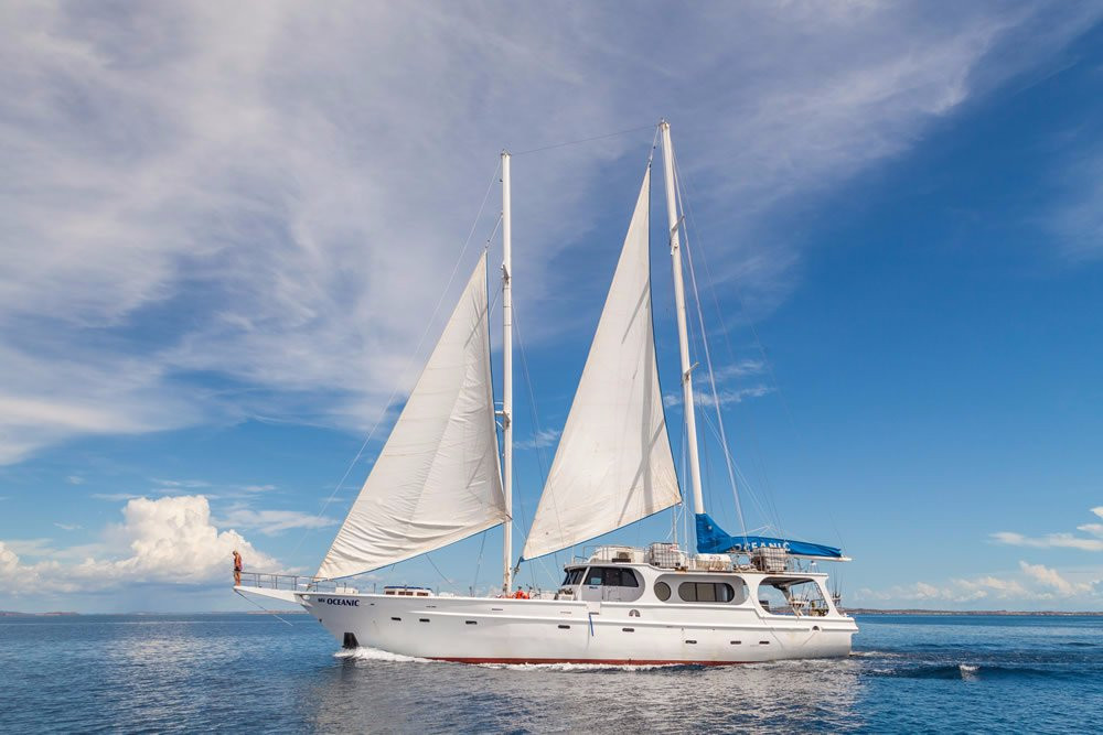 Ahoy Buccaneers - Day Cruise-布鲁姆必去景点