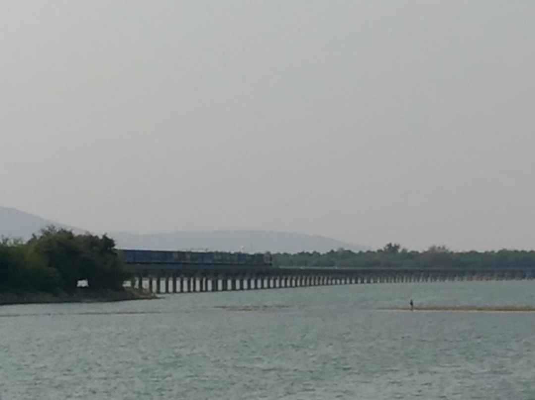 Floating Railway景点图片