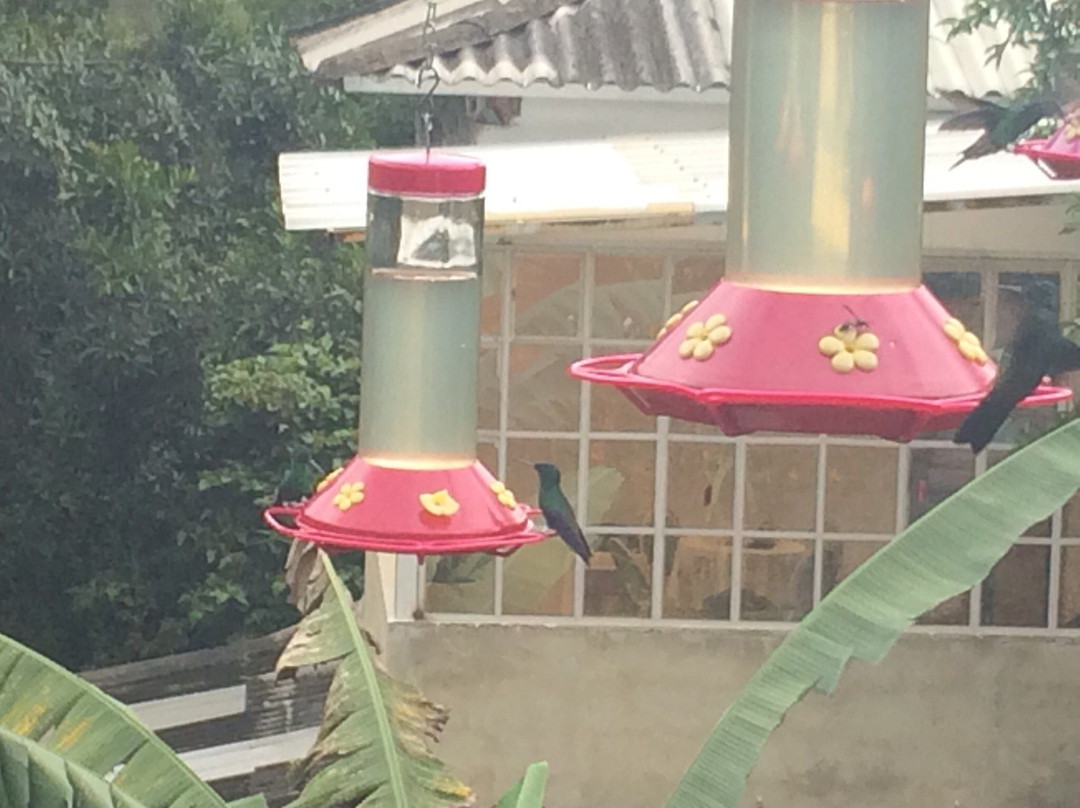 Enchanted Garden景点图片