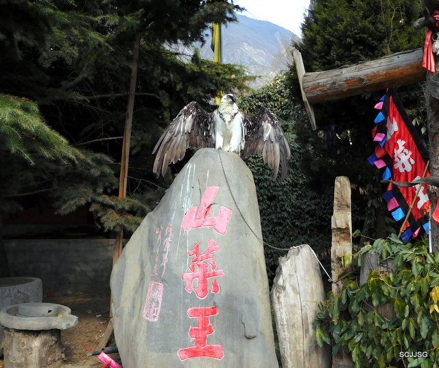 羌乡古寨-茂县必去景点