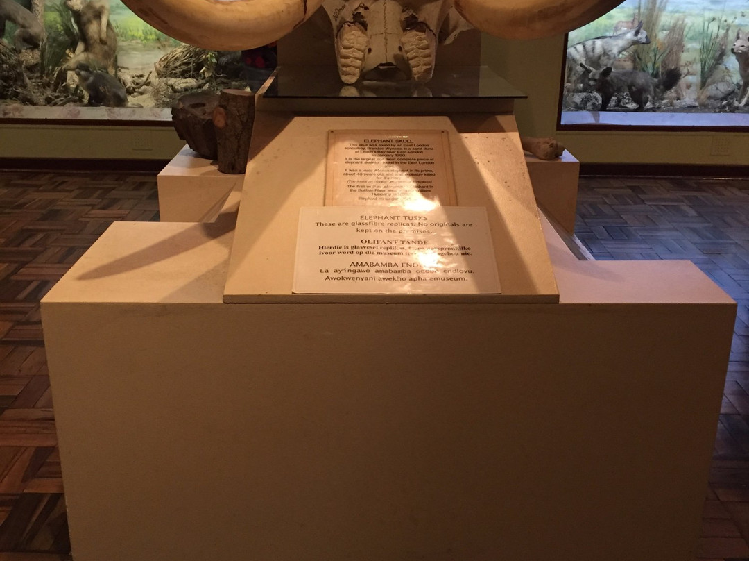 East London Museum-东伦敦必去景点