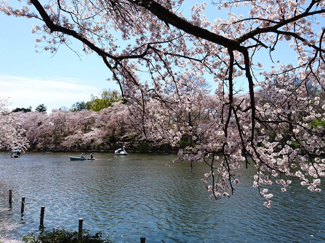 Inokashira Onshi Park-武藏野市必去景点