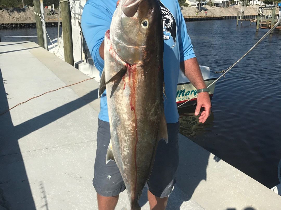 KC Sportfishing景点图片