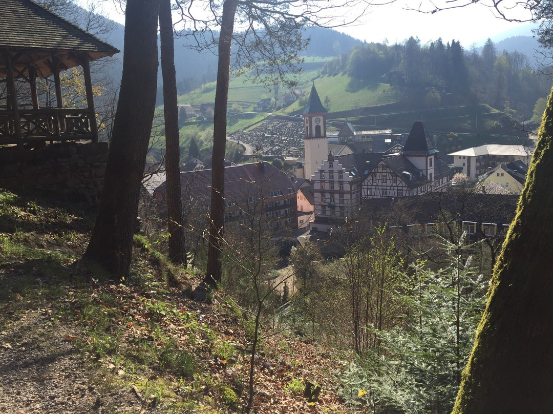 Genießerpfad - Peterstaler Schwarzwaldsteig-Bad Peterstal-Griesbach必去景点