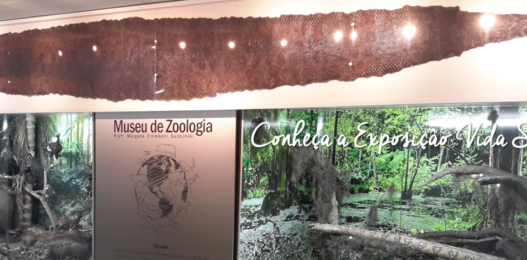 Museu de Zoologia Prof.ª Morgana Cirimbelli Gaidzinki da Unesc景点图片