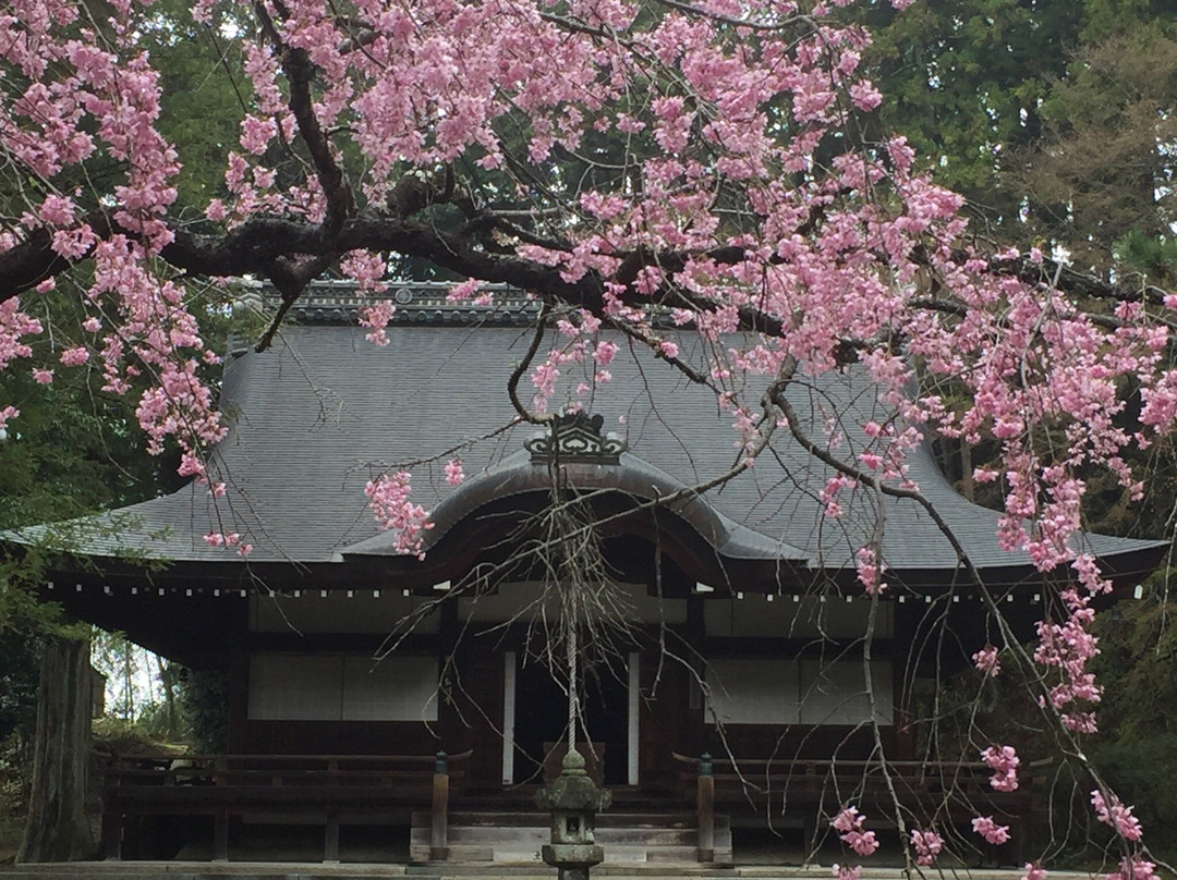 Hirokawa-dera Temple景点图片