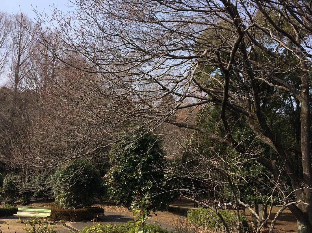 Chikozan Park-狭山市必去景点