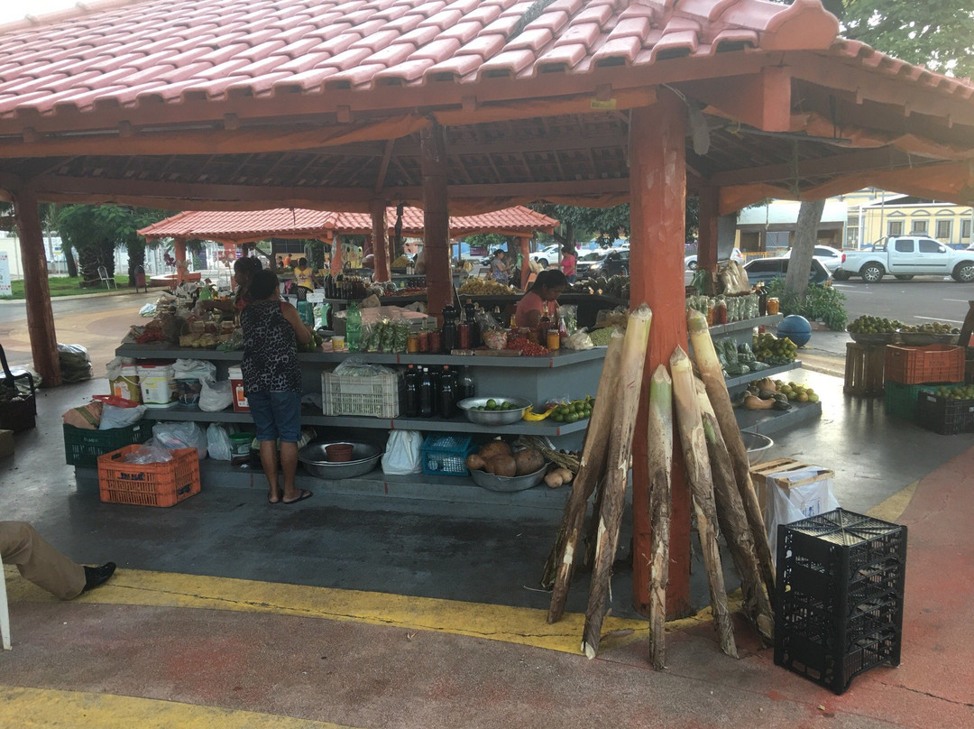 Mercado Municipal Antônio Valente-大坎普市必去景点