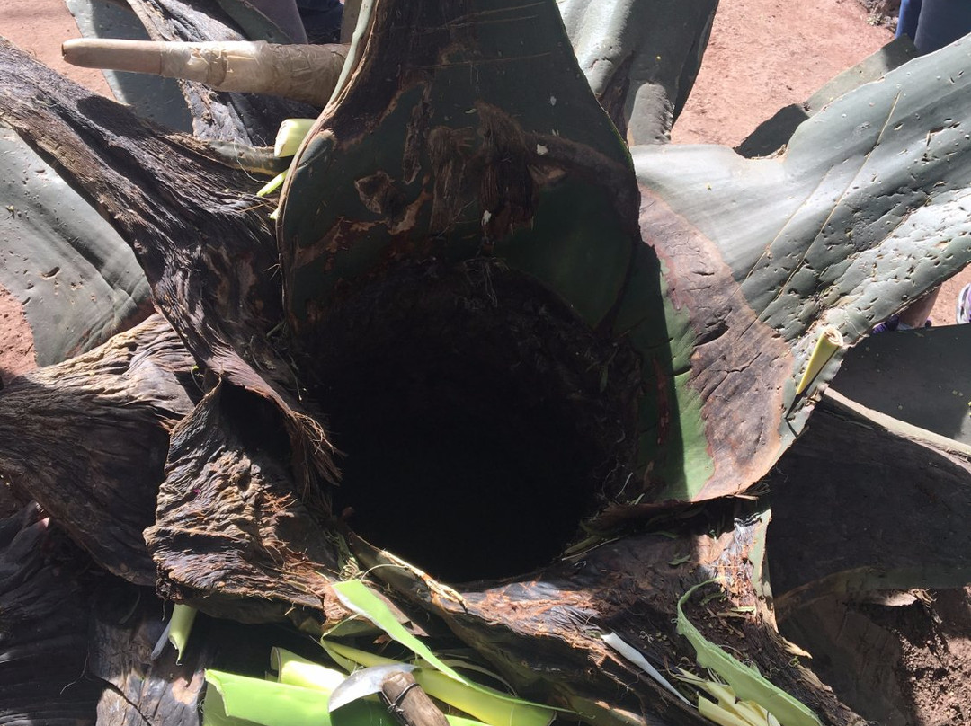 Comercializadora Artesanal Teotihuacan-圣胡安特奥蒂瓦坎必去景点