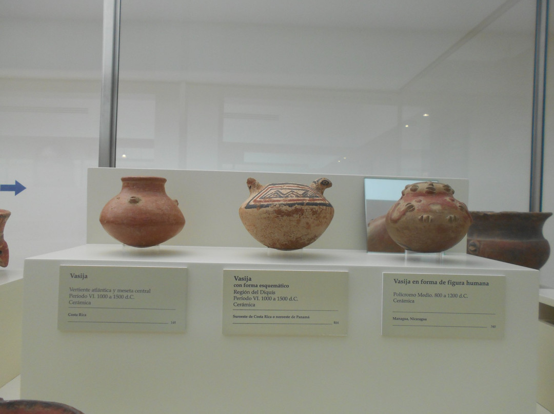 Museo de Arte Precolumbino景点图片