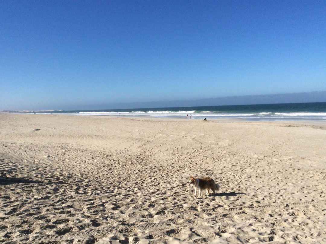 Back Beach-杰拉尔顿必去景点