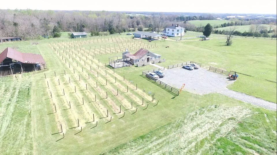 Chateau MerrillAnne-Orange必去景点