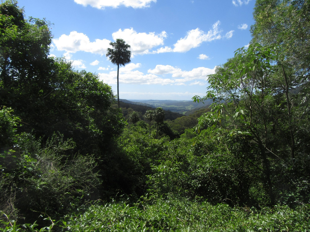 Macquarie Pass National Park景点图片