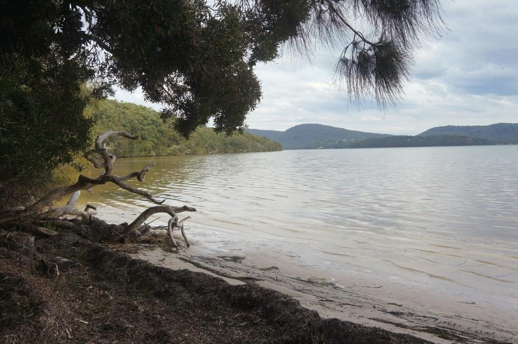 The Green Cathedral-Elizabeth Beach必去景点