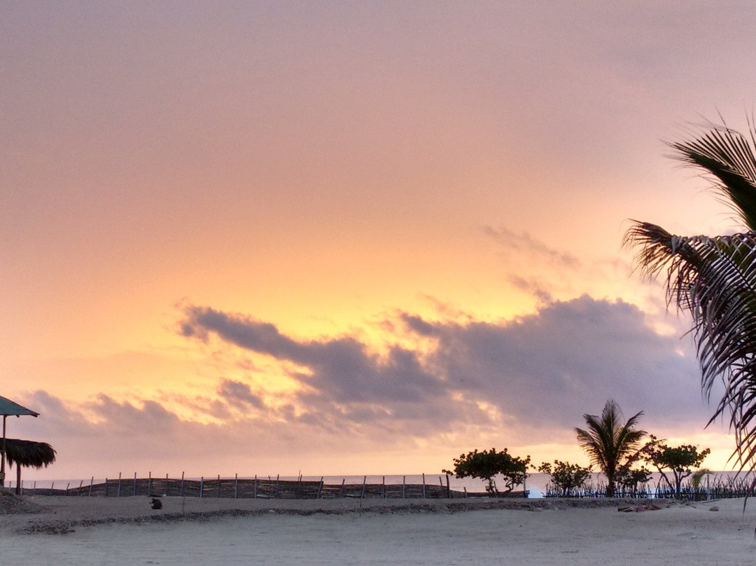 Cancas酒店住宿-Canoas de Punta Sal Bungalows