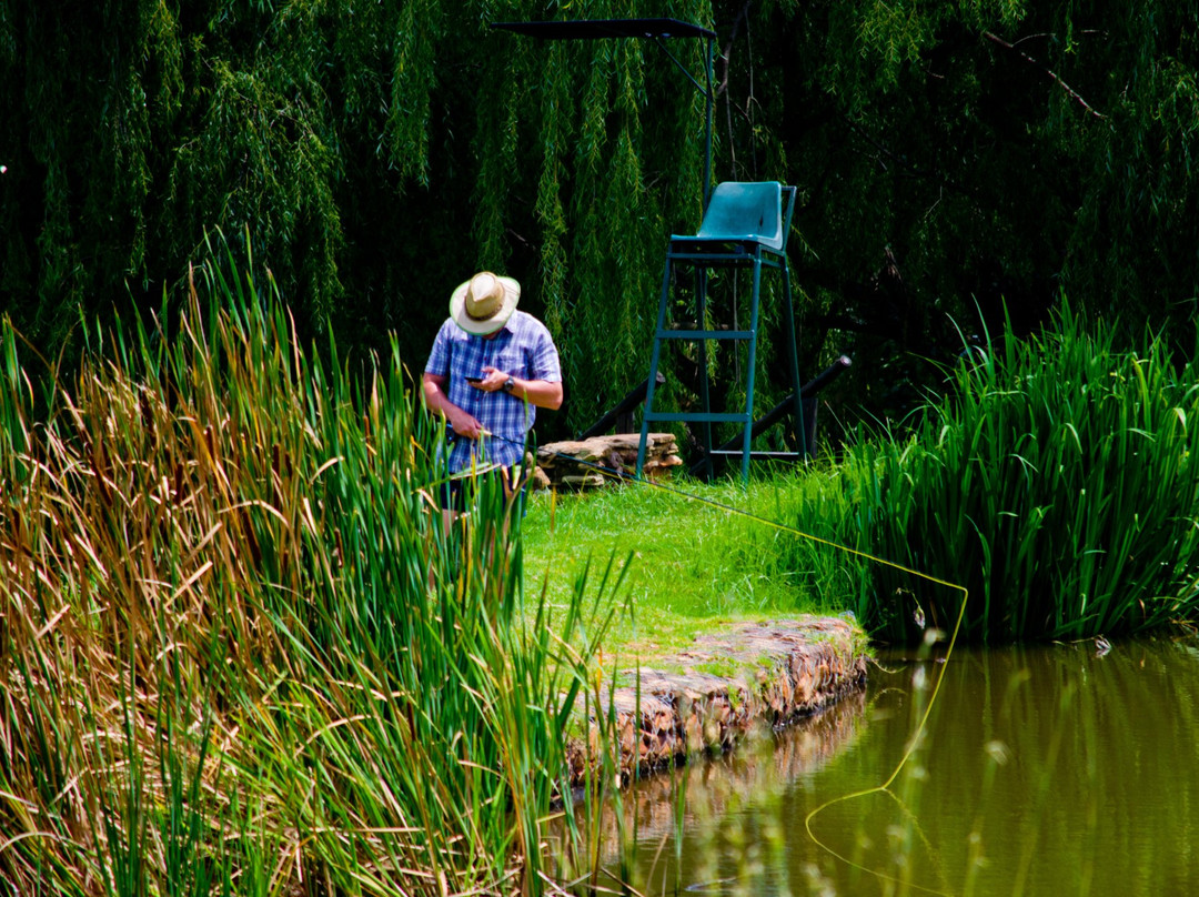 Brookwood Estate Trout Farm景点图片