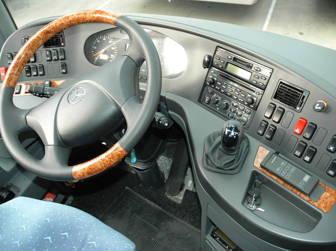 Oliviero Tours-维琴查必去景点