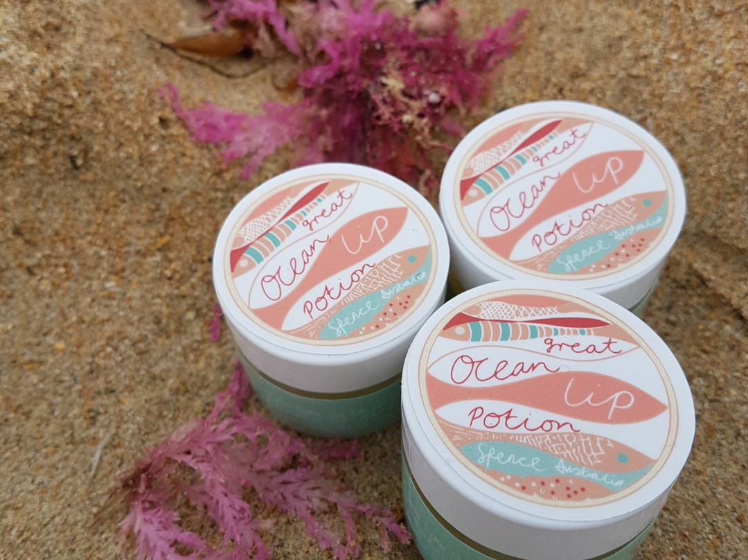 Spence-坎贝尔港必去景点