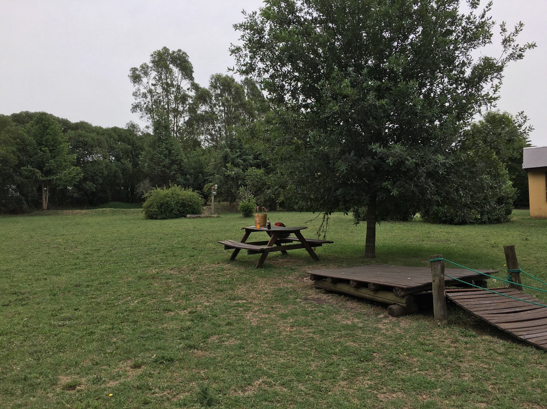 La Casualidad-Sierra de los Padres必去景点