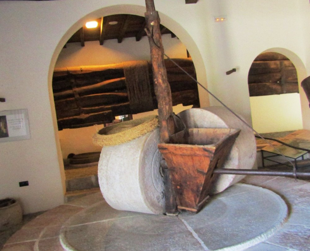 Museo del Aceite, DCOOP-安特克拉必去景点