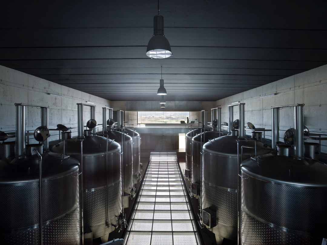 Bodega Tandem-Lacar必去景点