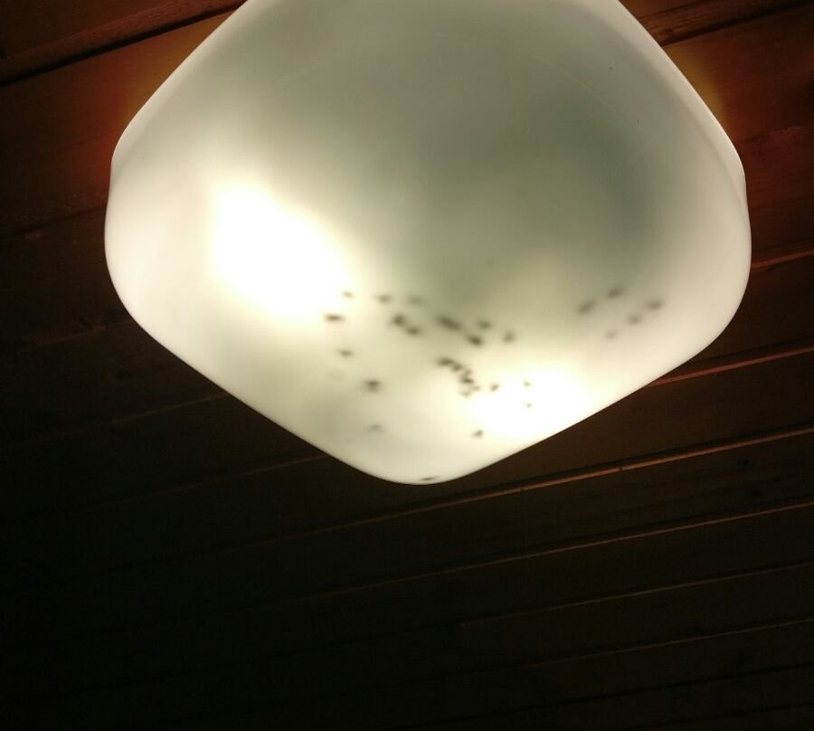 特里格拉夫公寓