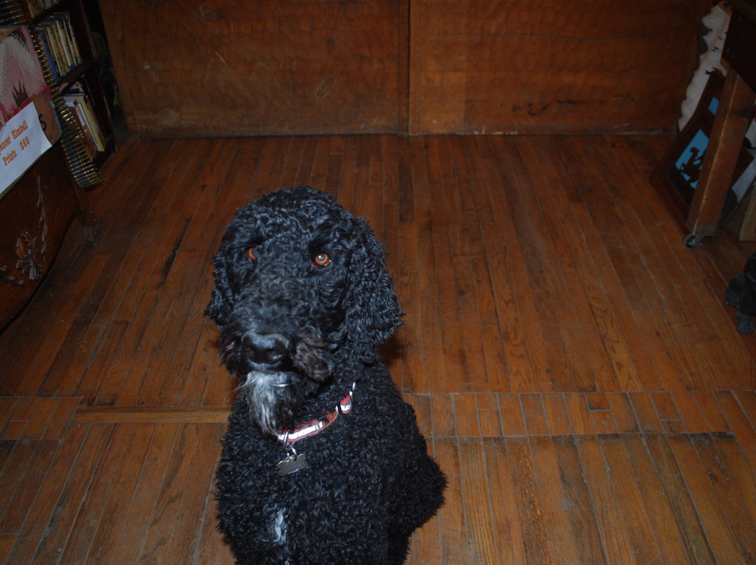 Cowgirl Red-Madrid必去景点