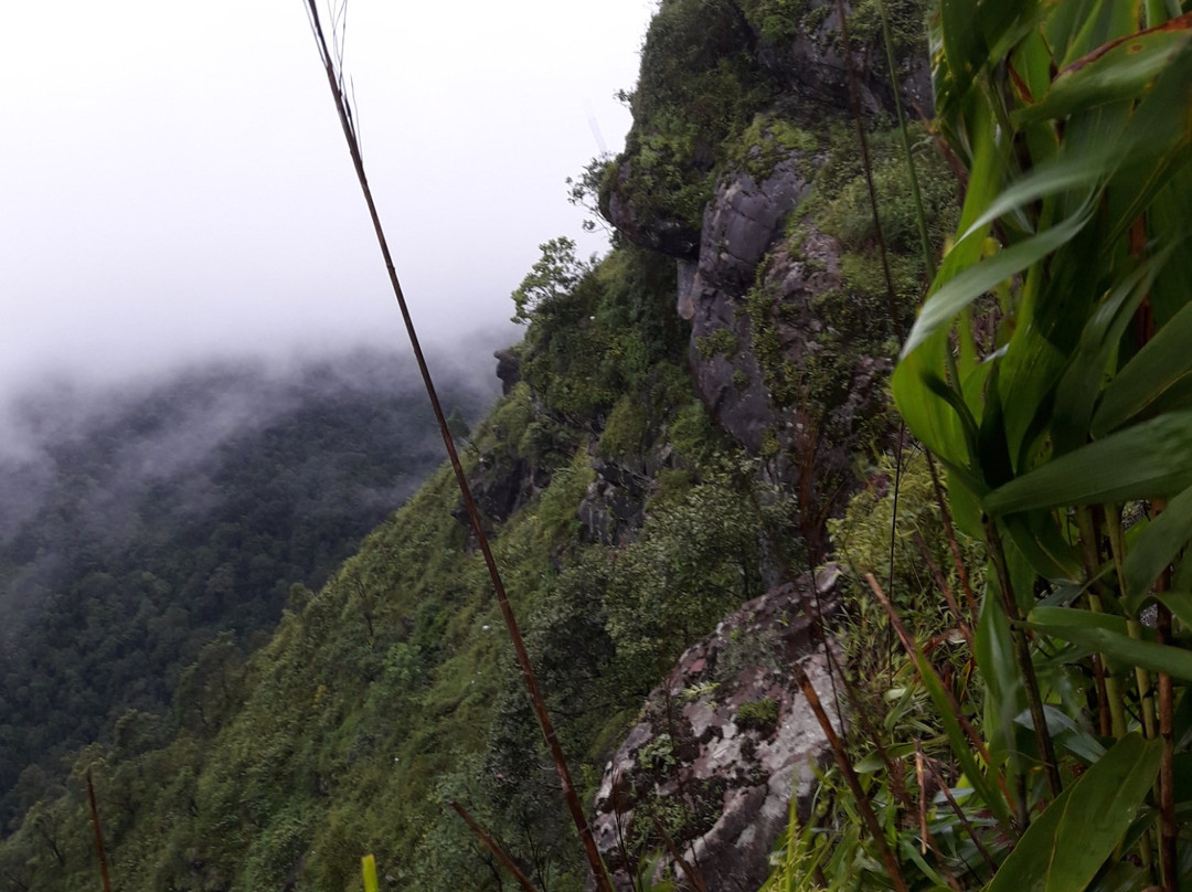 Phu Soi Dao National Park景点图片