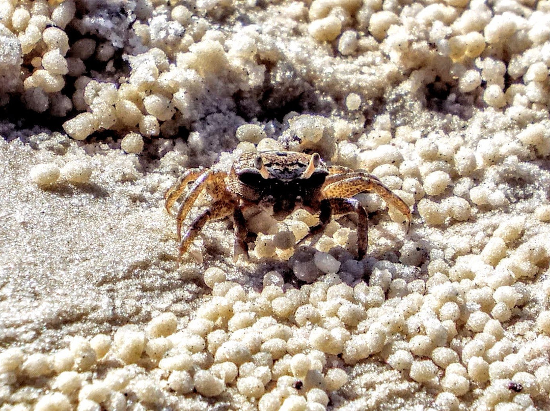 Key Vista Nature Park-Holiday必去景点