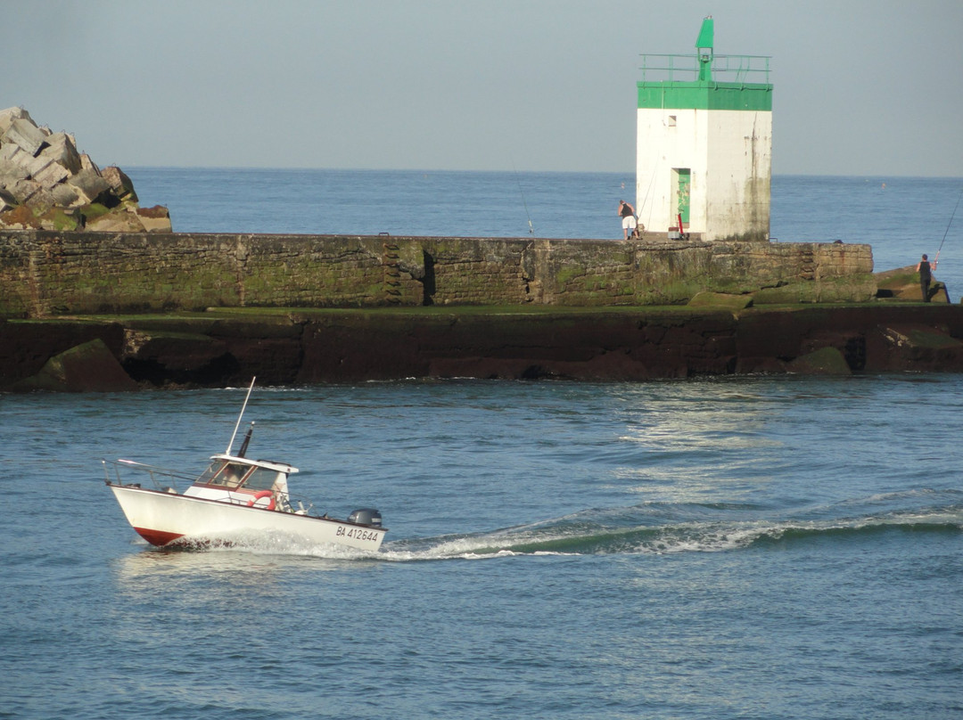 Tarnos旅游攻略图片