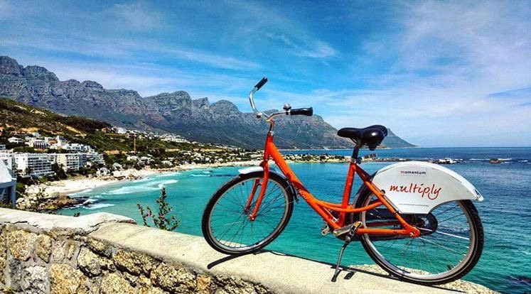 Up Cycles-开普敦中心区必去景点