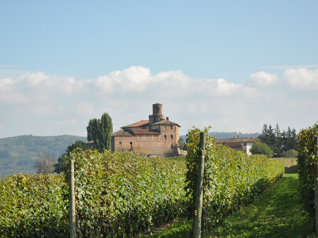 Castello della Volta景点图片