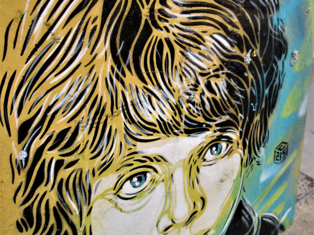 Fresque Luke Skywalker景点图片