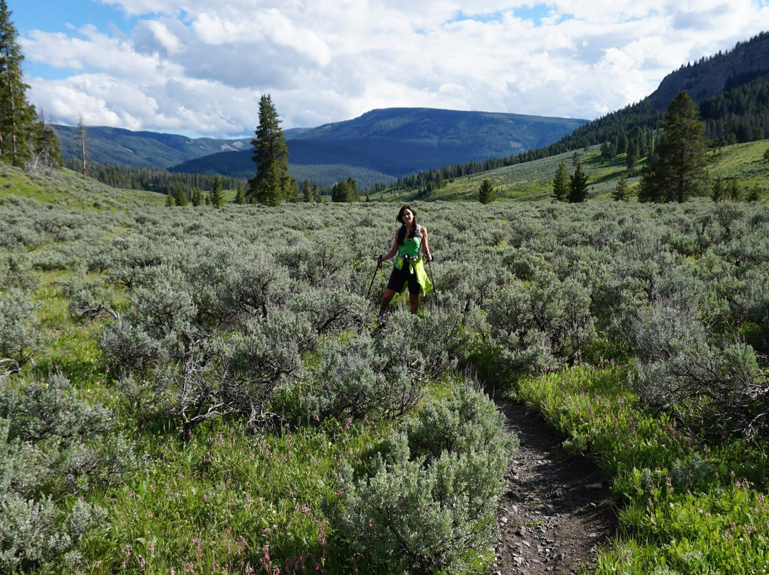 Daly Creek Trail-西黄石镇必去景点