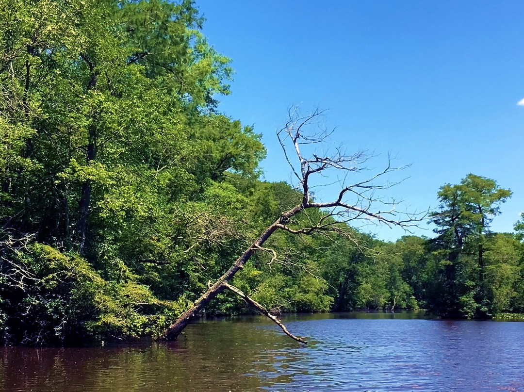 Pocomoke River Cruises-Snow Hill必去景点
