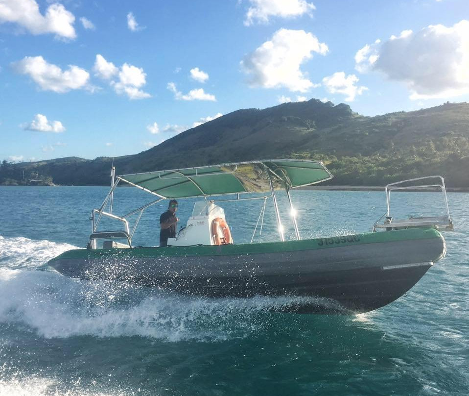 Mars Charters-艾尔利滩必去景点