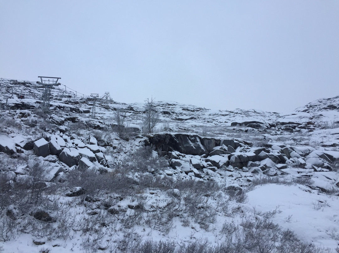 Riksgransen景点图片