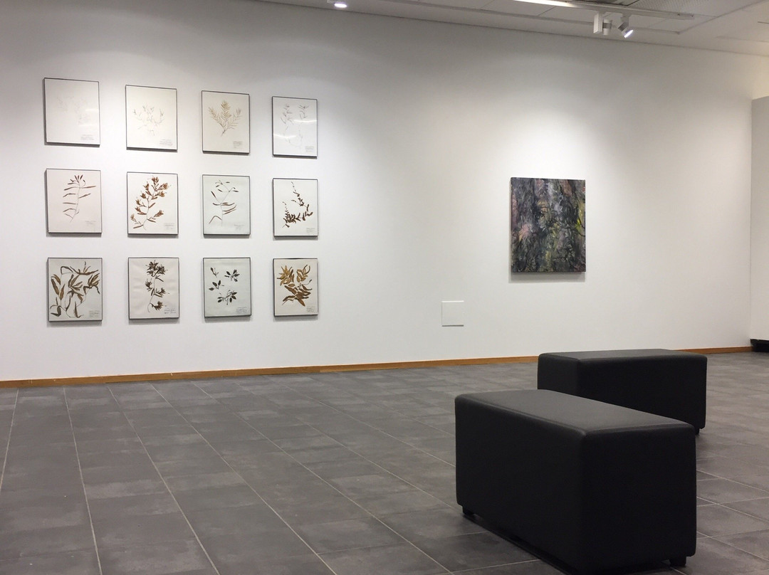 Nassjo Konsthall-奈舍必去景点