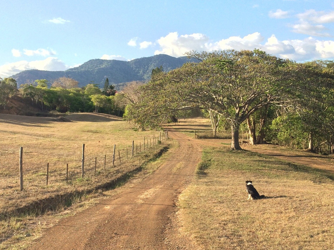 Pocquereux Randonnées-La Foa必去景点